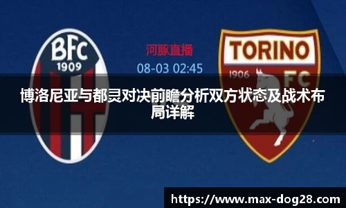 狗子28官方网站